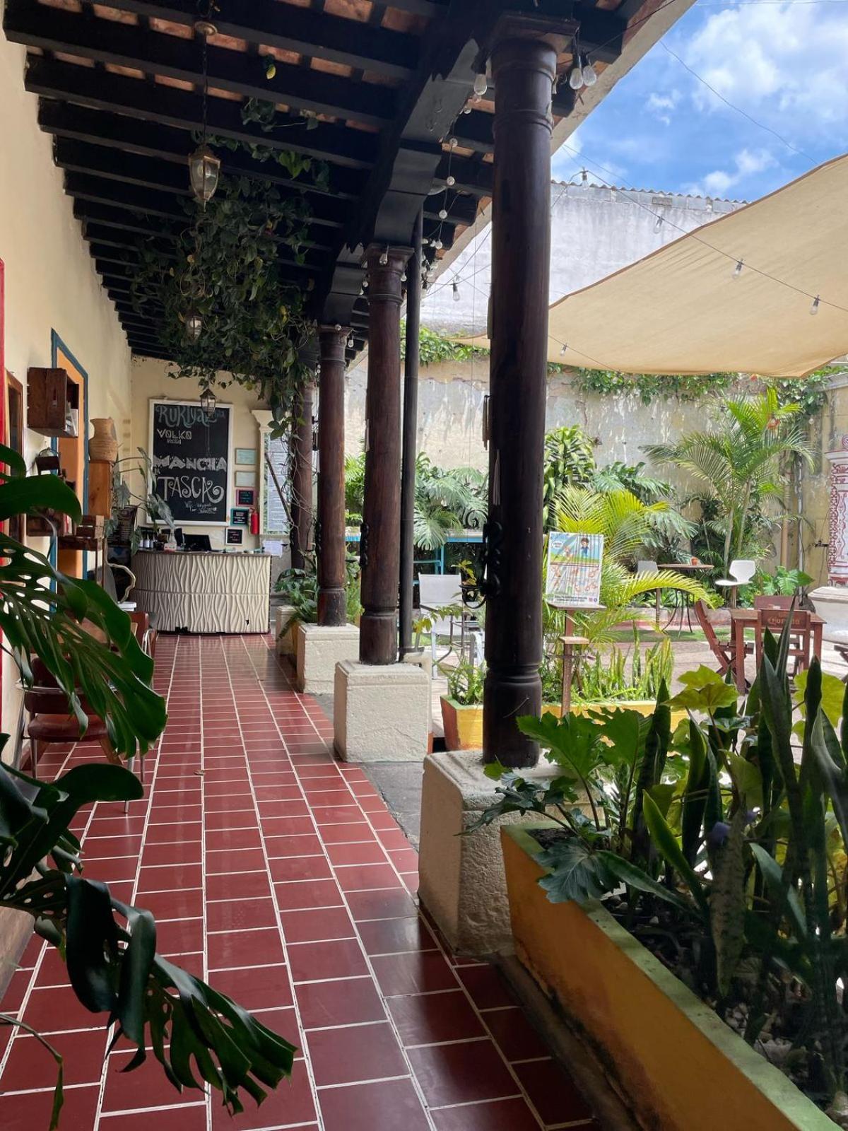 Volko Party Hostel Antigua Ngoại thất bức ảnh