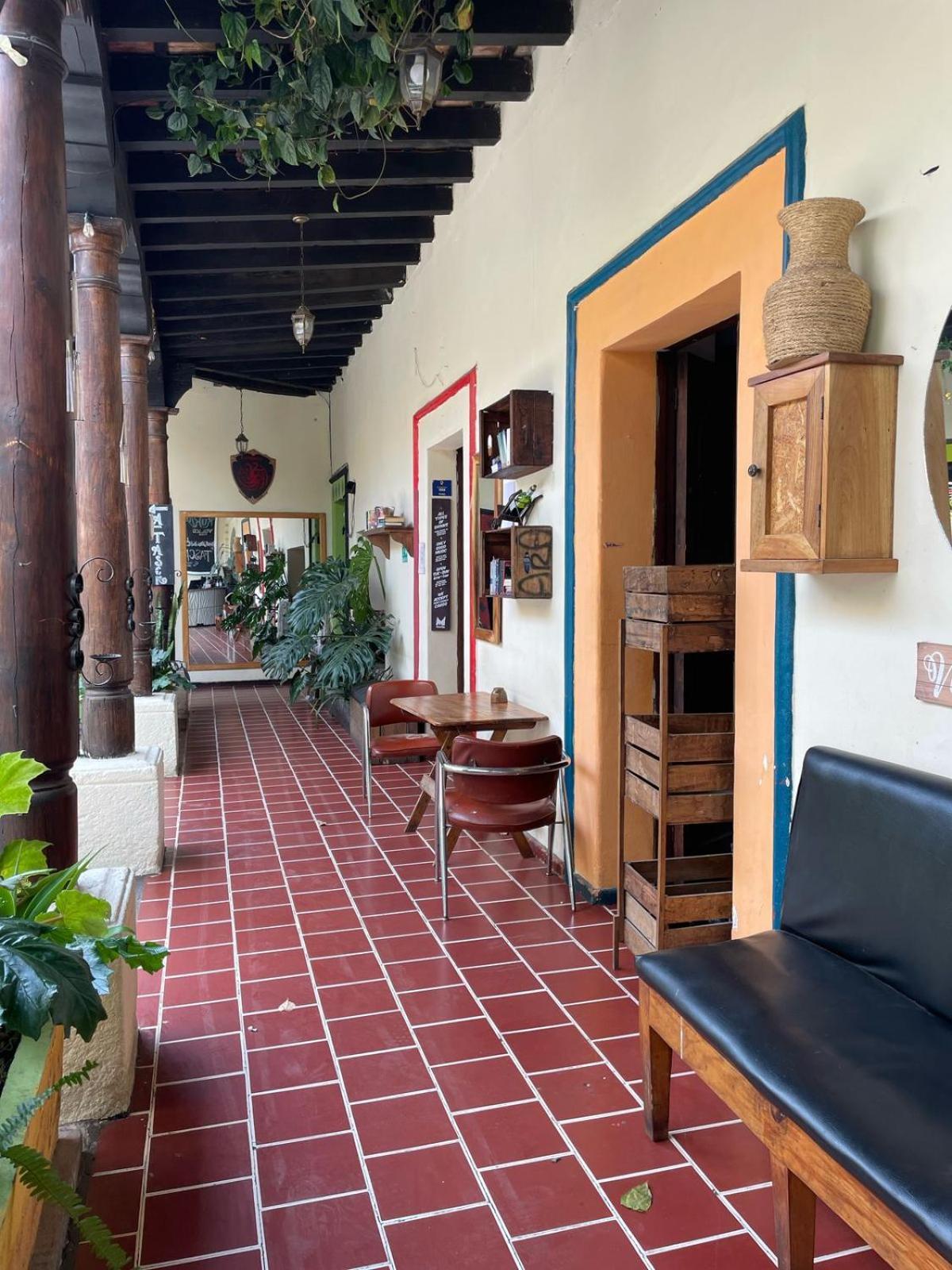 Volko Party Hostel Antigua Ngoại thất bức ảnh